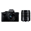 パナソニック LUMIX DC-G100DW-K G100D Wキット ダブルズームレンズキット ルミックス ミラーレス一眼カメラ Panasonic