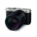パナソニック LUMIX DC-S9H-S 高倍率ズームレンズキット シルバー ルミックス ミラーレス一眼カメラ Panasonic 【クーポン割引対象外】