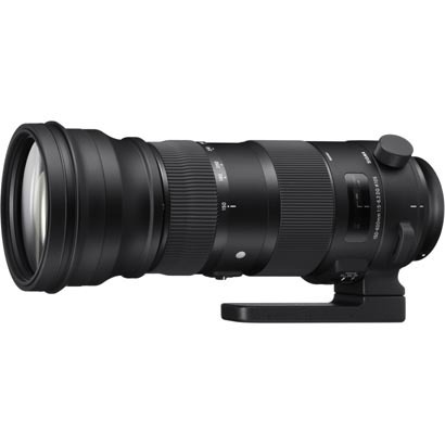 シグマ 交換レンズ 150-600mm F5-6.3 DG OS