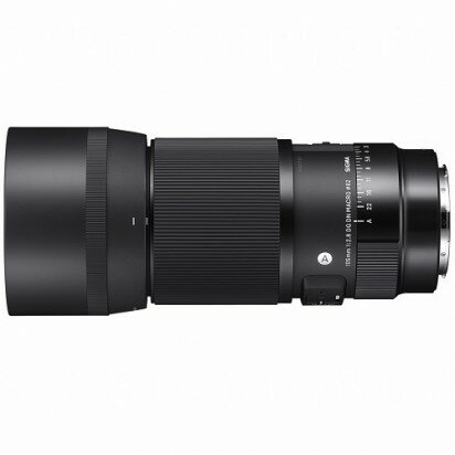 �Կ��ʡե����� �򴹥�� 105mm F2.8 DG DN MACRO Art [�饤��L�ޥ������] SIGMA