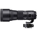 シグマ 交換レンズ 150-600mm F5-6.3 DG OS HSM Contemporary テレコンバーターキット ニコンFX用 SIGMA