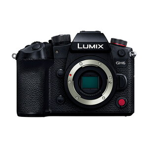 ѥʥ˥å LUMIX GH6 ܥǥ DC-GH6 ֥å ߥå ߥ顼쥹㥫 Panasonic