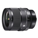 VO} Y 24mm F1.4 DG DN Art [\j[E }Egp] SIGMA