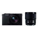 パナソニック LUMIX S9W ダブルレンズキット DC-S9W-K ジェットブラック ルミックス ミラーレス一眼カメラ Panasonic【クーポン割引対象...