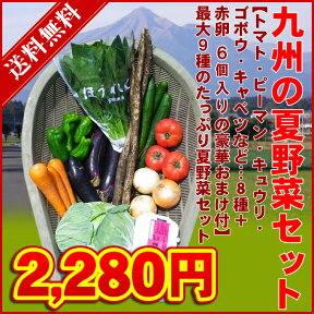 九州・夏の野菜セット　【クール便・送料無料】　最大9種 → 2,280円（税別） 九州・宮崎よりお届け