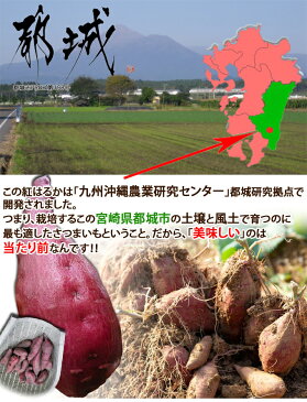 紅はるか 宮崎県都城産(令和元年産)5kg入 2,000円【送料無料】【2セット以上で野菜おまけ】※5営業日以内発送可