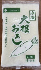 業務用　冷凍大根おろし　500g×20パック　10kg段ボール　国産　宮崎県産　冷凍便配送【送料無料】　■沖縄・離島は配送不可です