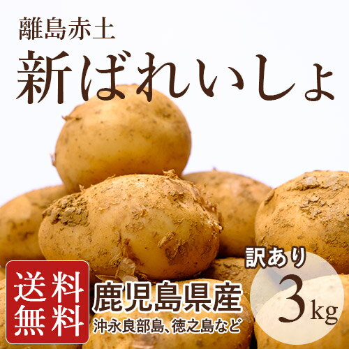 【鹿児島県産】離島赤土 新ばれいしょ 訳あり 3kg【送料無料】2018年春 新じゃが