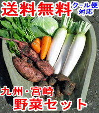 【冬の旬野菜】ヤマトの野菜セット　たっぷり根菜＋選べる葉物2種 ■さらに、赤卵6コおまけ【安納芋も入ります】 送料無料！九州・宮崎よりお届け