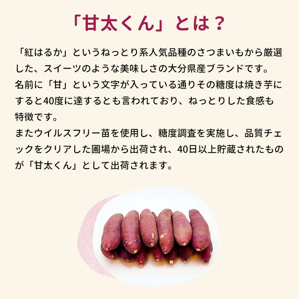 甘太くん 紅はるか さつま芋 サツマイモ 大分県産 国産 JAおおいた 2kg 2キロ 5kg 5キロ 10kg 10キロ 国産 薩摩芋 冷やし さつまいも 焼き芋 焼きいも 夏は アイス 焼芋 ヤキイモ お芋 スイーツ 美味しい 芋 おやつ おいしい 蜜芋 離乳食 ギフト 健康 内祝い 送料無料 2