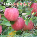 さんふじりんご(時期によりふじりんご) apple 味濃厚 2kg 5kg 10kg 大容量 お徳用 国産 家庭用 お中元 お歳暮 ギフト 贈り物