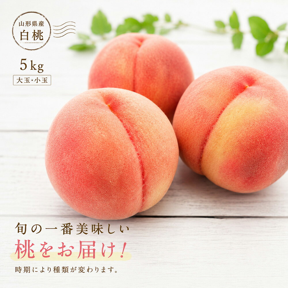 日川白鳳 白鳳 浅間白桃 なつっこ 川中島白桃 さくら白桃 12玉～15玉入り 桃 もも おいしい  ...