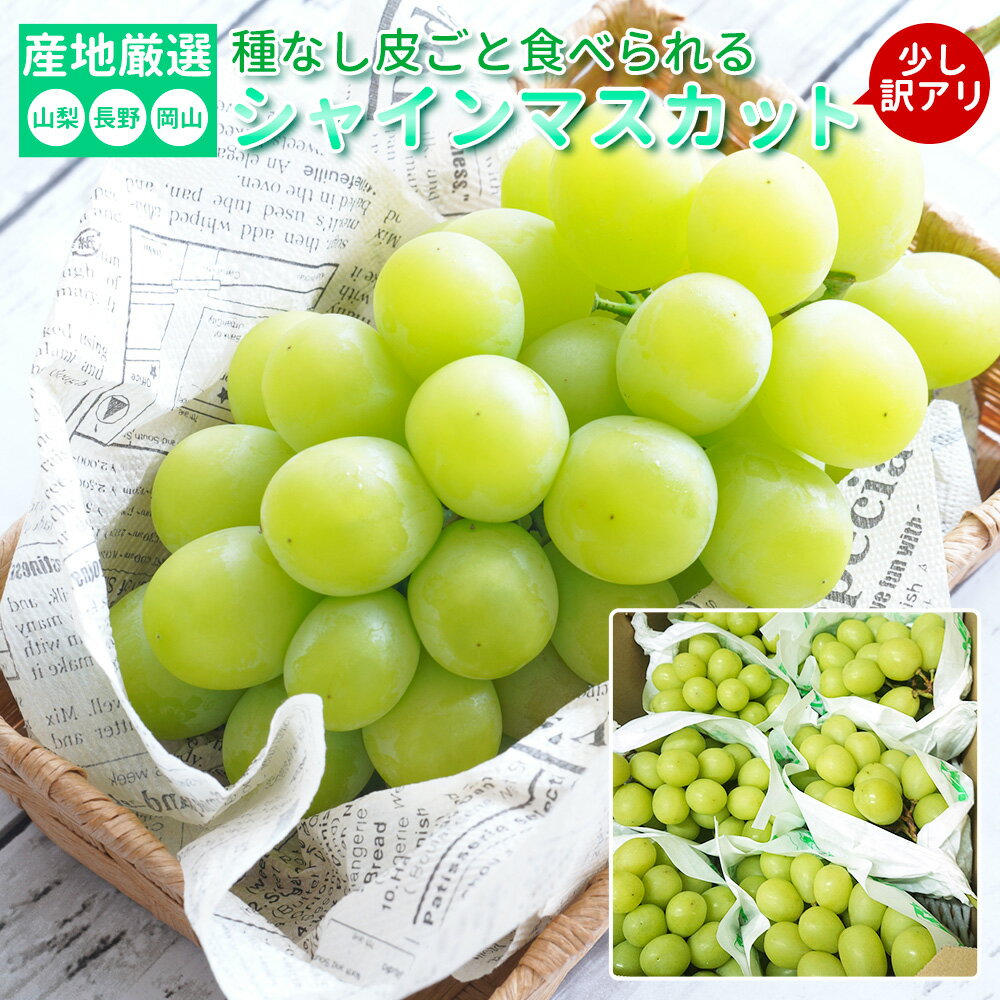 【送料無料】甘くて美味しい!皮ごと食べられて種なし!【シャインマスカット 山梨県産・長野県産・岡山県産いずれかおまかせ 少し訳アリ】種なし 皮ごと食べられる フルーツ 国産 お取り寄せグルメ セット ギフト お取り寄せギフト 送料無料