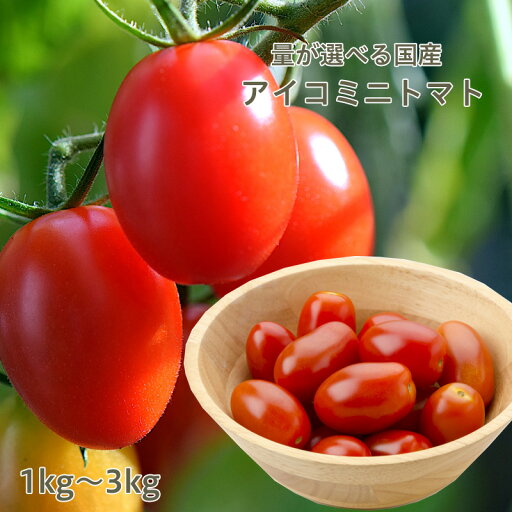 アイコミニトマト 1kg 2kg 3kg 【北海道、愛知、和歌山、熊本等】野菜 おいしい トマト ヘルシー 健康 国産 お取り寄せグルメ 野菜 セット ギフト お取り寄せギフト 送料無料 アイコミニトマト 1kg 2kg 3kg 【北海道、愛知、和歌山、熊本等】野菜 おいしい トマト ヘルシー 健康 国産 お取り寄せグルメ 野菜 セット ギフト お取り寄せギフト 送料無料