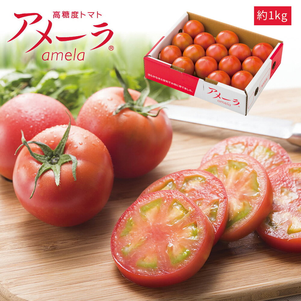 【アメーラ 約1kg 15玉または16玉入り 糖度7.5度 - 8度 静岡県産】野菜セット おいしい トマト ヘルシー 健康 国産 お取り寄せグルメ 野菜 セット ギフト お取り寄せギフト 送料無料