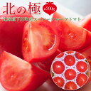 【スーパーフルーツ トマト 北の極 約700g 8~15玉 北海道下川町産】野菜セット おいしい トマト ヘルシー 健康 国産 お取り寄せグルメ 野菜 セット ギフト お取り寄せギフト 送料無料