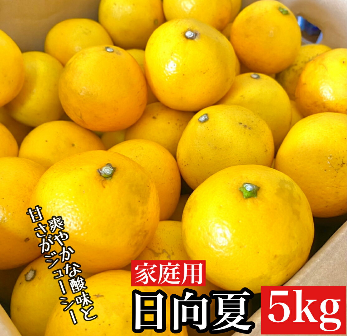 ＼15日まで！ 500円OFFクーポン／九州産【訳あり】日向夏みかん 家庭用 選べる【3kg 5kg 10kg】文旦/土佐小夏/ニューサマーオレンジ /甘夏/不知火/デコポン/ポンカン 好きに