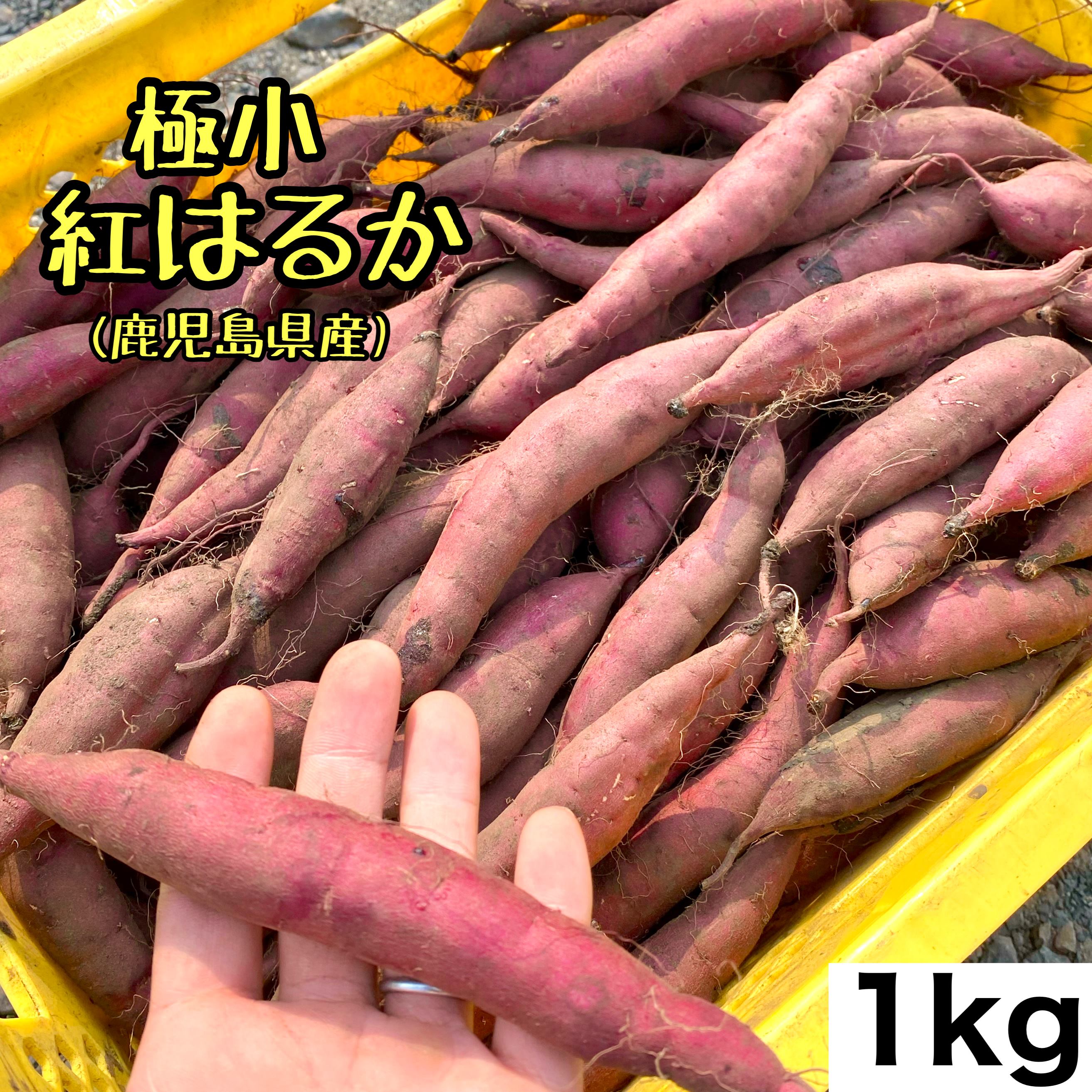 【鹿児島県産】紅はるか 1kg 極小サイズ お菓子作りに レシピ付き さつまいも 訳ありのサムネイル