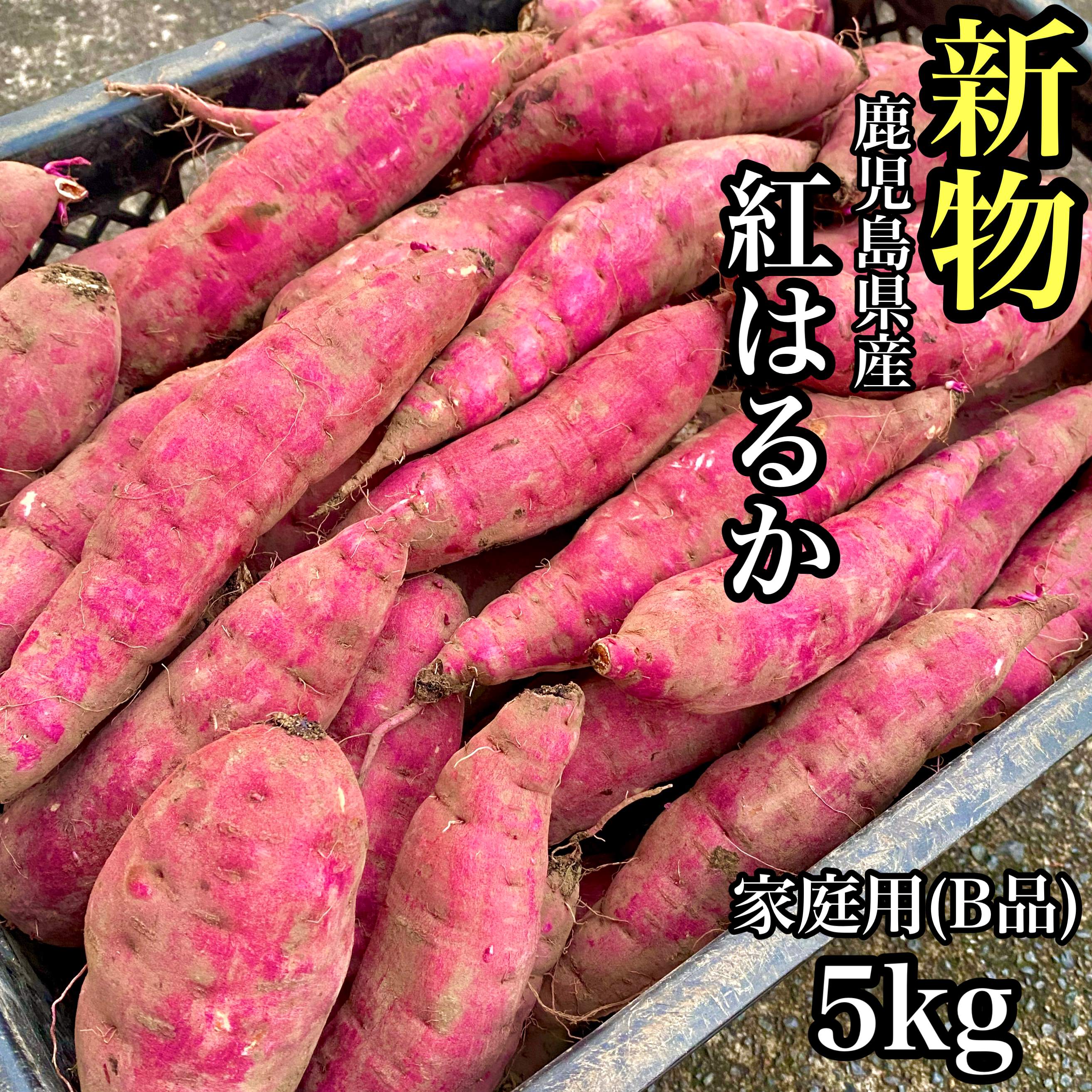 【超お得クーポンあり】焼き芋屋さんが送る【新物】鹿児島県産 紅はるか 選べる【2kg・5kg・10kg・20kg】土付き さつまいも 訳あり