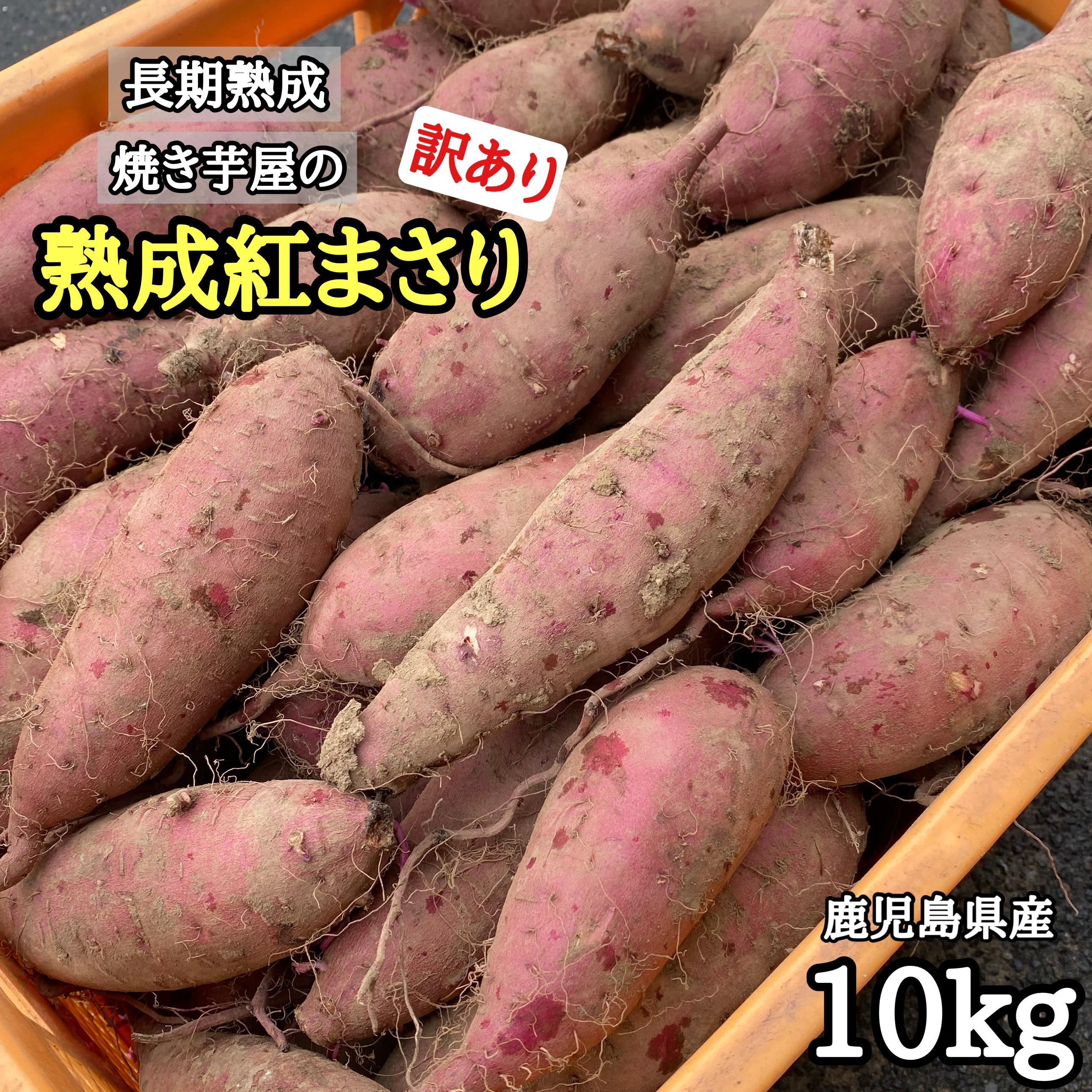 6月限定値下げ◎【訳あり】ホクとろ長期熟成 本場鹿児島 紅まさり 選べる【3kg・5kg・10kg・20kg】 さつ..