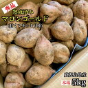 【ポイント2倍 最短当日出荷】 焼き芋 冷凍 さつまいも 紅はるか 1kg/1.5kg/3kg 蜜焼き芋 セット 母の日 プレゼント 長期熟成 鹿児島産 やきいも 美味しい スイーツ ギフト 贈り物 甘い おやつ 財宝 送料無料