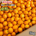 鹿児島県産 金柑 甘くて人気 小さめサイズ 【選べる1kg・3kg・5kg・10kg】箱込み キンカン おせち料理 風邪予防 1000円ポッキリ お買い物マラソン お買い回り