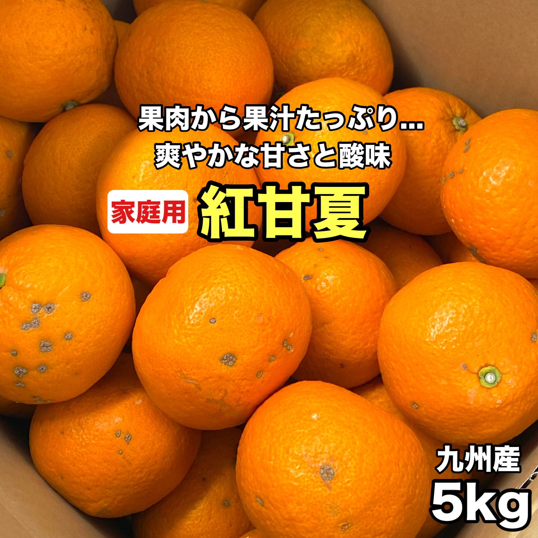 溢れる果汁 紅甘夏 家庭用 選べる 【3kg・5kg・10kg・20kg】 みかん ポンカン 不知火 デコポン タンカン 好きにも