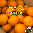 ＼30日まで 500円OFFクーポン／溢れる果汁 紅甘夏 家庭用 選べる 【3kg・5kg・10kg・20kg】 みかん ポンカン 不知火 デコポン タンカン 好きにも