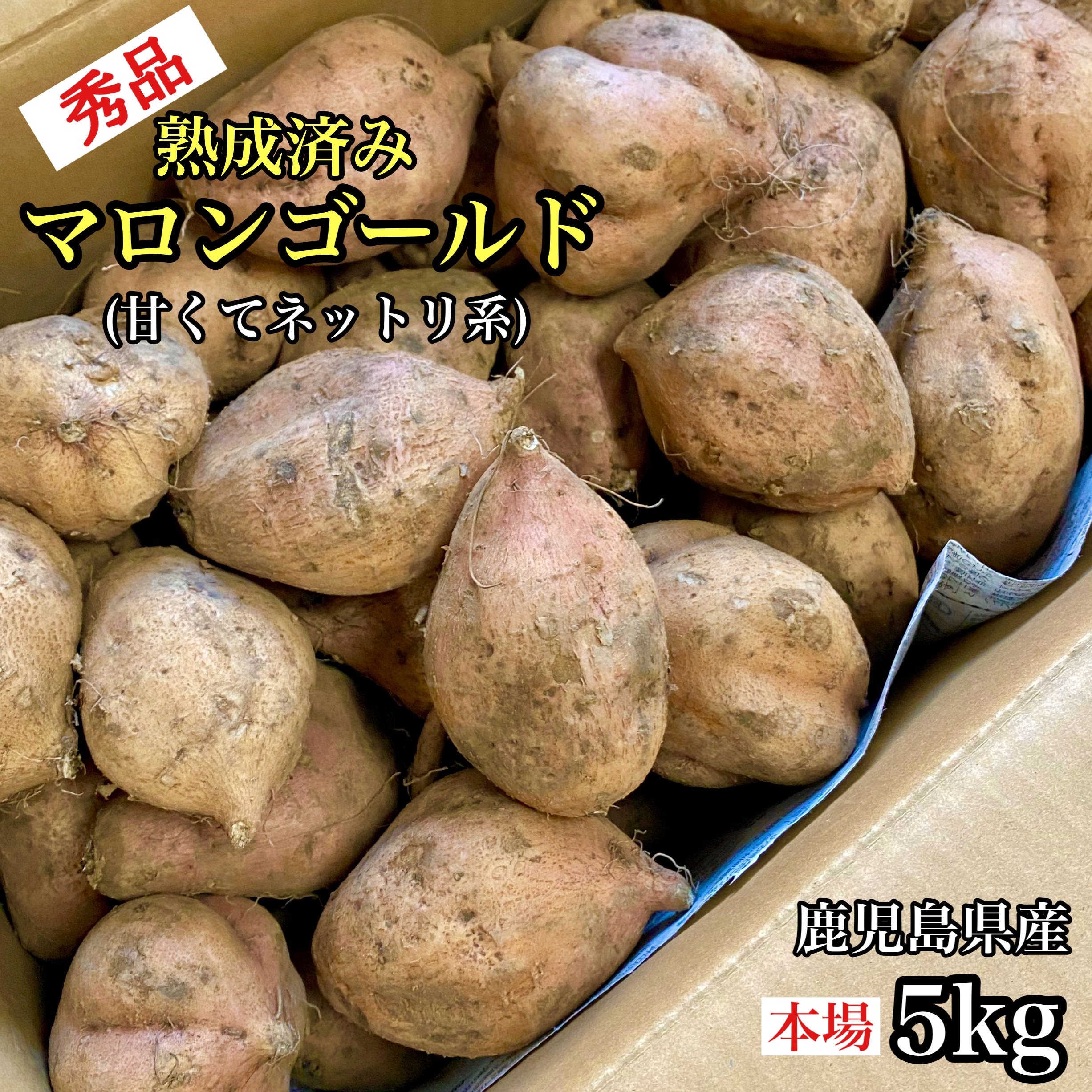 【大感謝SALE10%OFFクーポン◎】美味しさ最高峰◎秀品 マロンゴールド 選べる【2kg・5kg・10kg・20kg】 さつまいも 産地直送 鹿児島県産 家庭用 さつま芋 箱 サツマイモ 紅あずま 鳴門金時 シルクスイート 安納芋 好きに