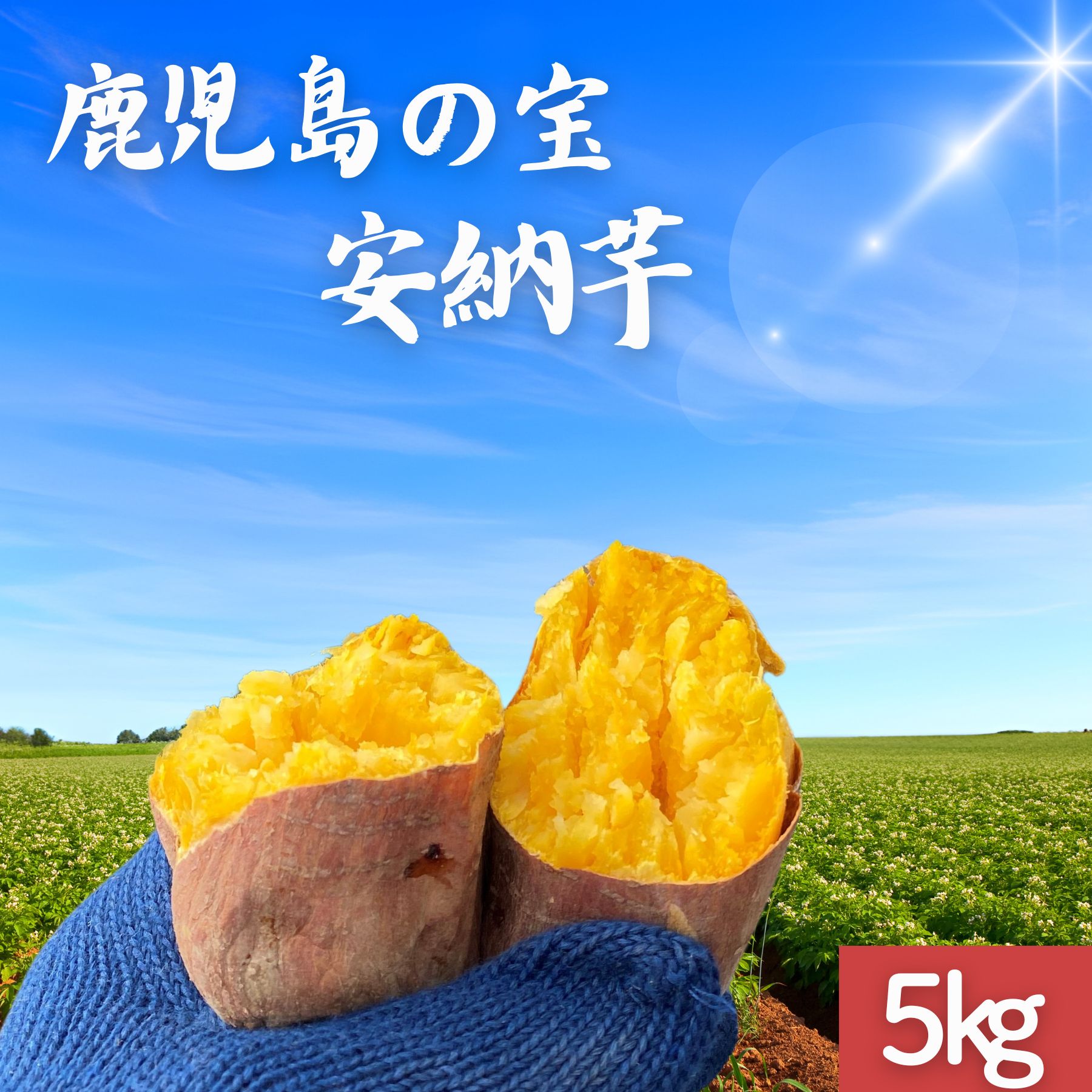 希少！農家直送 本場種子島産 安納芋 訳あり 選べる【5kg・10kg】 さつまいも 土付き さつま芋のサムネイル