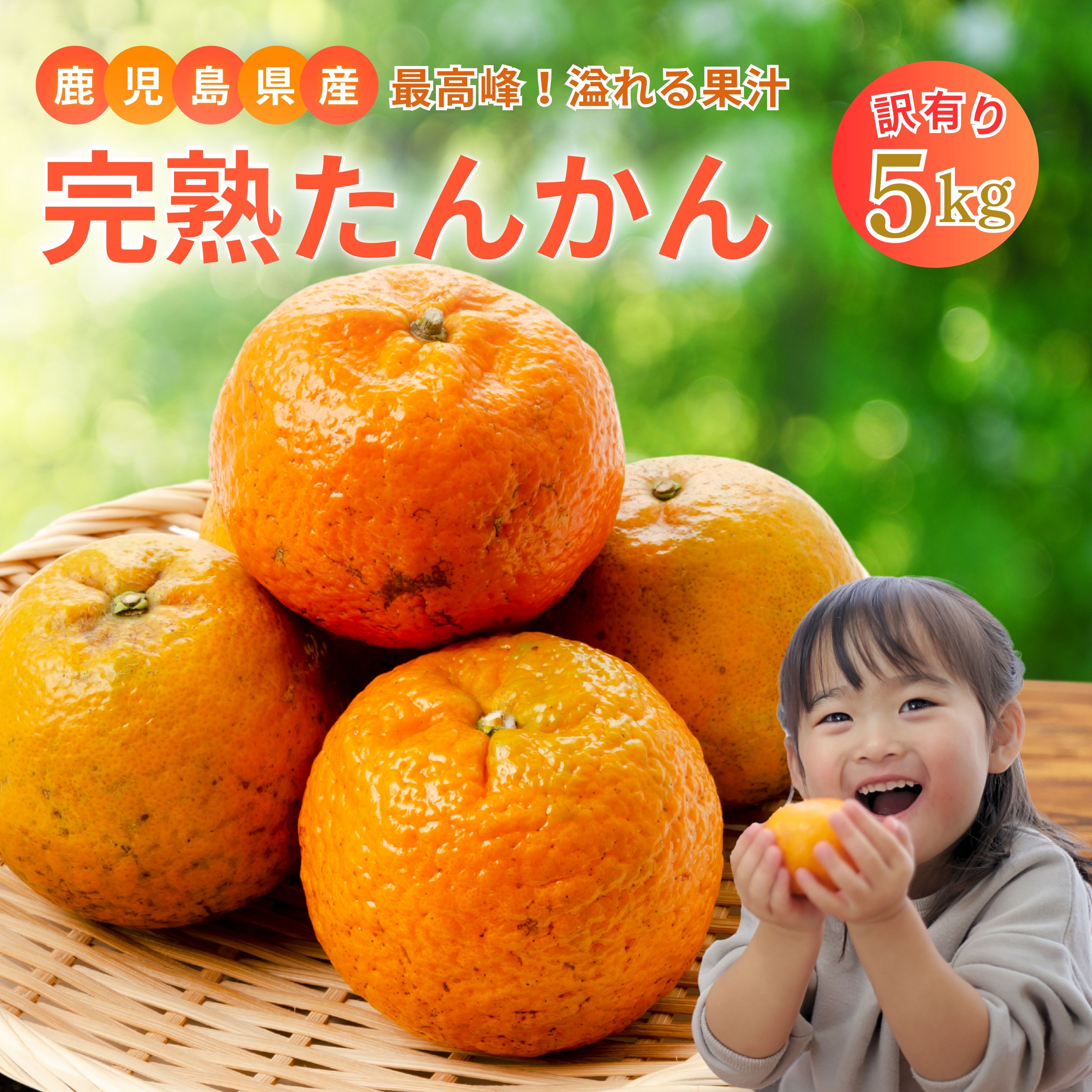 楽天市場】たんかん 送料無料 10kgの通販 楽天市場】たんかん 送料無料 10kgの通販