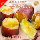【訳あり】お買い得◎鹿児島県産 焼き芋 500g 熟成紅はるか使用◎訳あり 干し芋好きに 1kg 未満 送料無料 干しいも好きに お買い物マラソン お買い回り