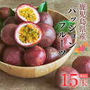 \26日まで半額OFFクーポン/鹿児島県産 家庭用 15玉 【爽やかな酸味と芳醇な香り】 パッションフルーツ 美味しい 訳あり 【6月下旬から順次発送】