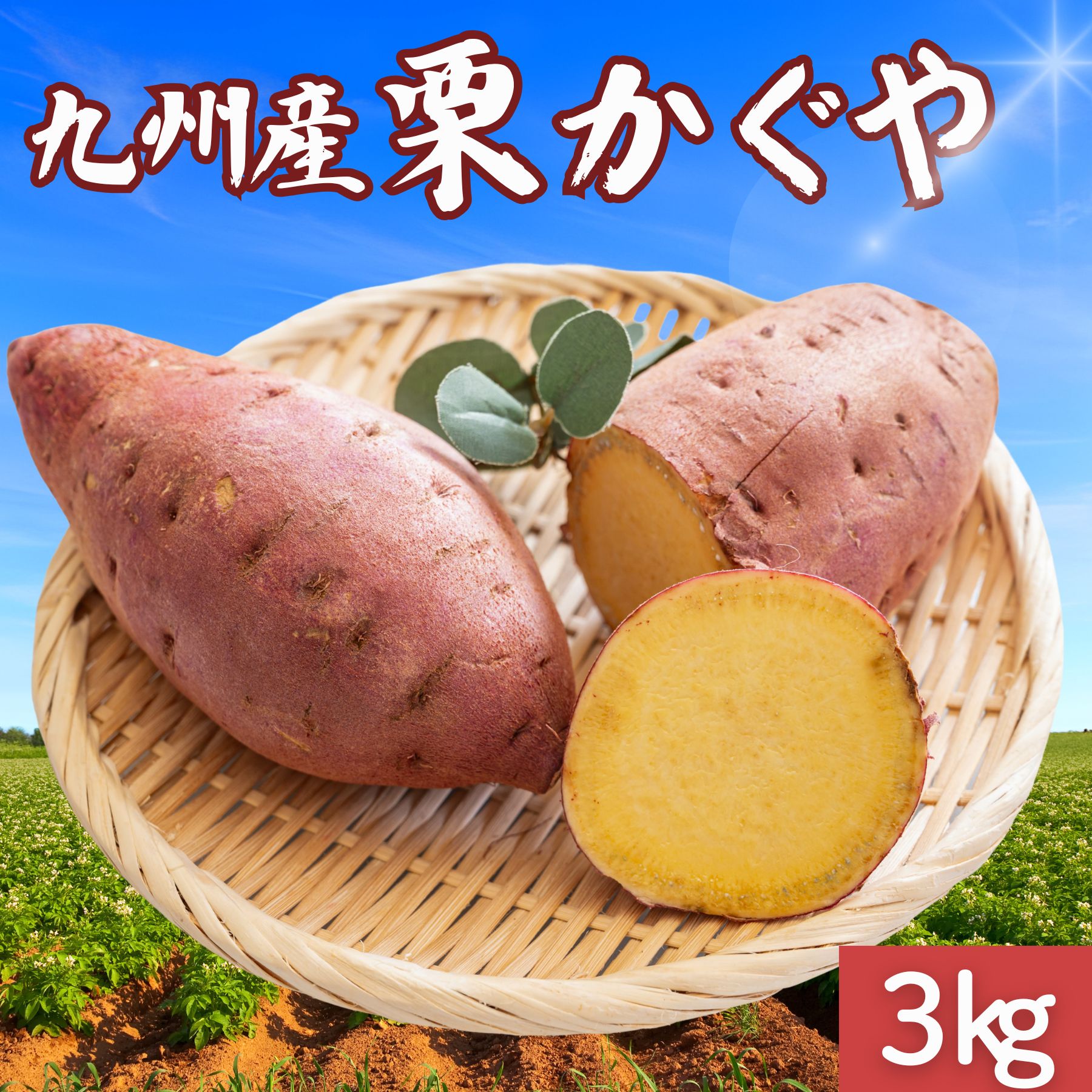 【ポイント10倍!3日まで】 \ランキング1位獲得/栗かぐや 選べる【3kg・5kg・10kg】 訳あり さつまいも 鳴門金時好きに
