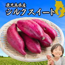 新物 焼き芋屋さんが送る◎ さつまいも 本場の鹿児島県産 シルクスイート 選べる【2kg・5kg・10kg・20kg】訳あり さつま芋 サツマイモ 薩摩芋 甘薯【9月中旬から掘りたてをお届け】