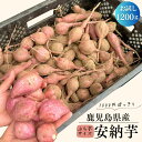 新物\1000円ぽっきり/本場の鹿児島県産 安納芋 1200g ぷち芋サイズ 【宅急便コンパクト満杯詰め】 訳あり さつまいも さつま芋 サツマイモ 薩摩芋 甘薯