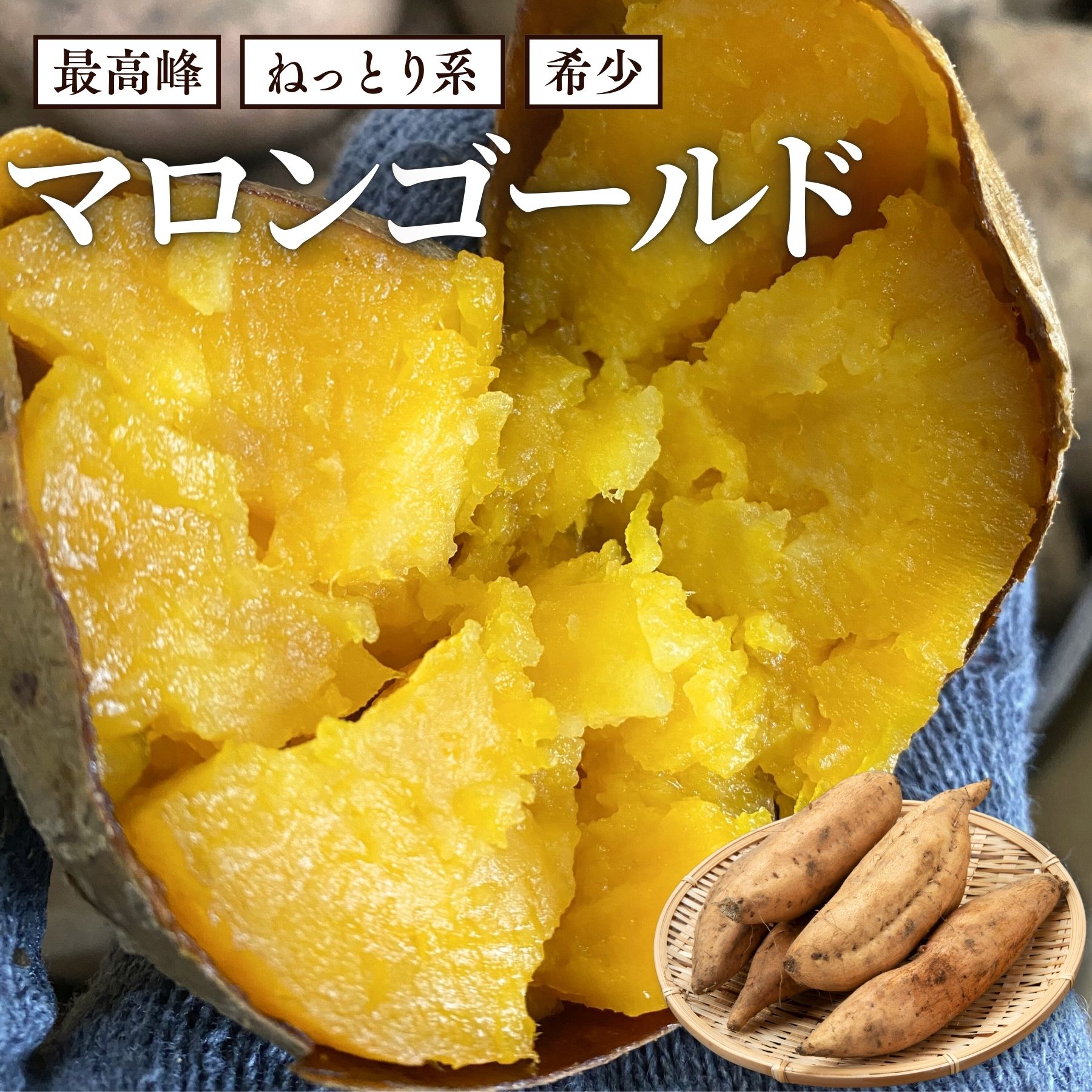 【10%OFFクーポン!】希少!最高峰◎ 鹿児島県産 訳あり マロンゴールド 選べる数量 【9月下旬より掘りたてを順次発送】 さつまいも 濃厚 甘い 訳あり さつま芋 サツマイモ 薩摩芋 甘薯