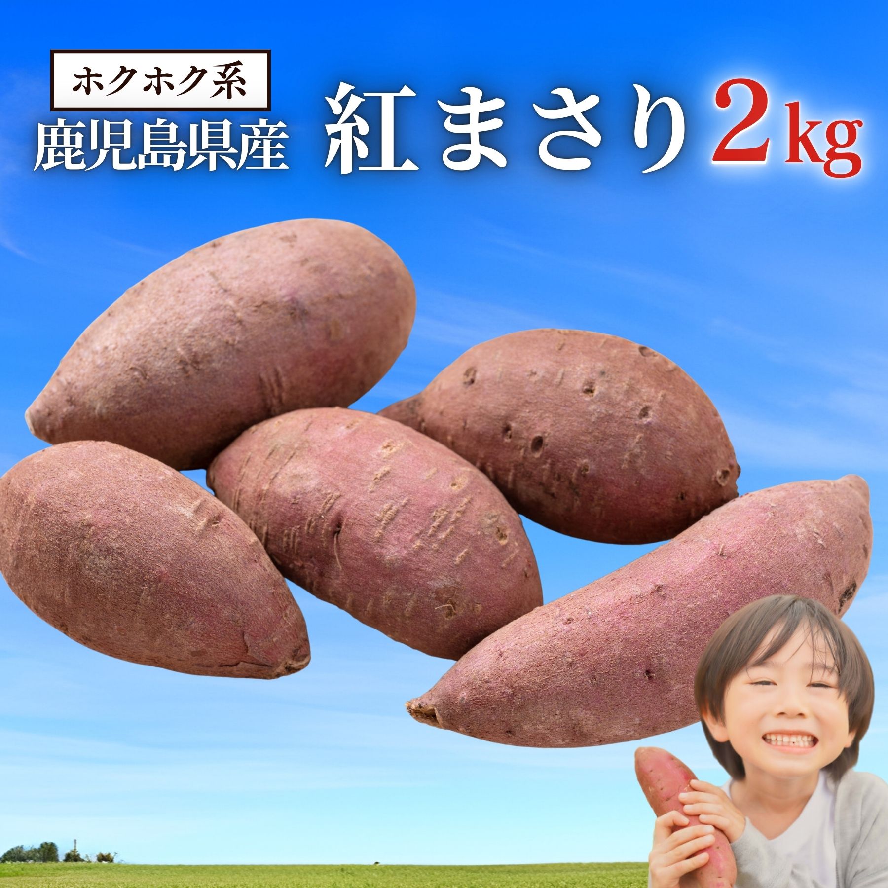 【ポイント10倍!3日まで】ホクホク系 さつまいも 九州産 訳あり 紅まさり 選べる【3kg・5kg・10kg・20kg】サツマイモ 甘藷 さつま芋