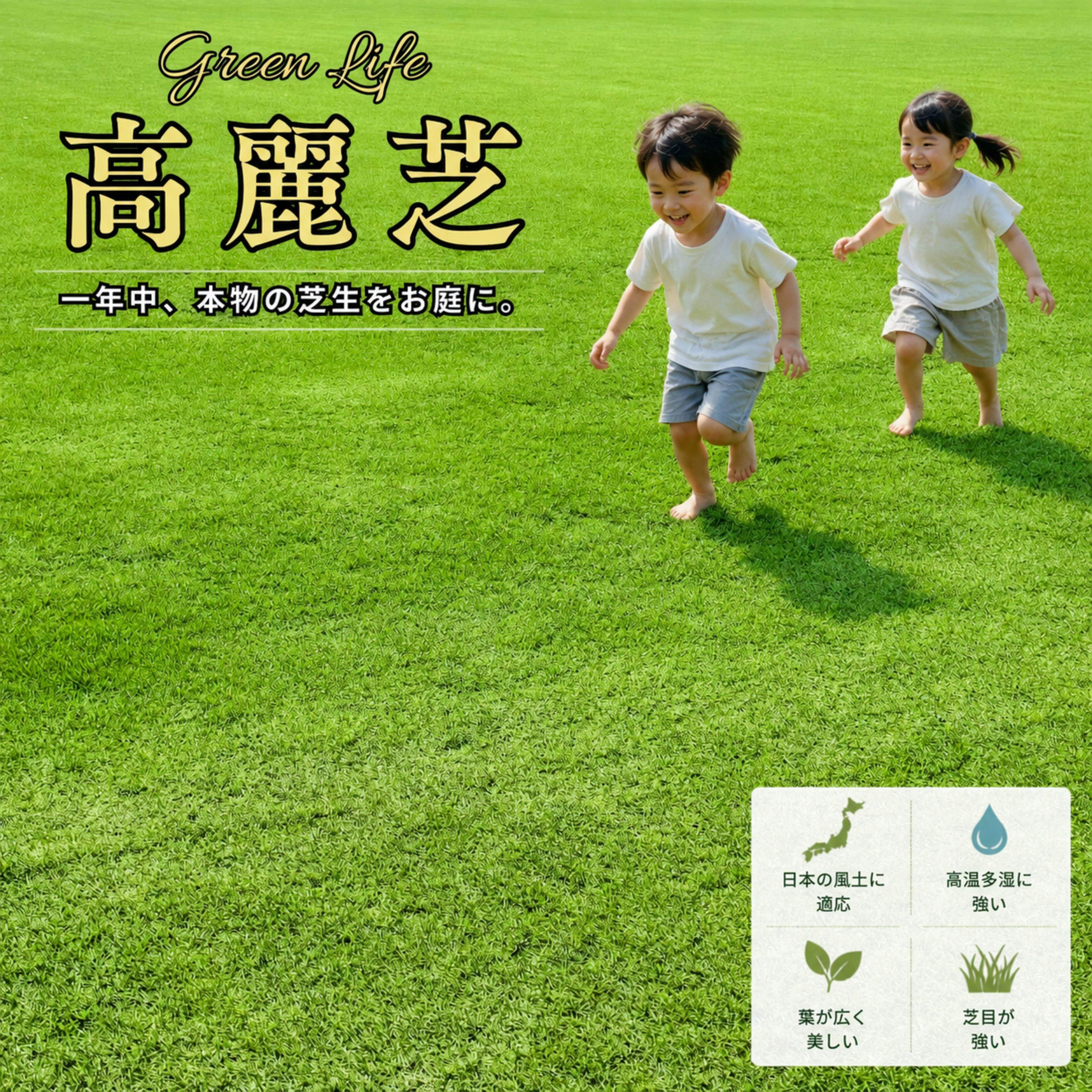 ＼プロ御用達！／高麗芝(天然芝) 1平米～ 芝の名産地・鹿屋市から刈りたてを産地直送 国産切り芝 DIY 芝張り