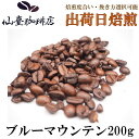 仙臺 珈琲店 ブルーマウンテン 200g(※生豆時240g) ※コーヒー3袋まとめ買いで送料無料！※焙煎日出荷 coffee 送料無料 父の日 母の日 贈り物　お中元　お歳暮