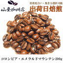 仙臺 珈琲店 コロンビア・エメラルドマウンテン 200g(※生豆時240g) ※コーヒー3袋まとめ買いで送料無料！※焙煎日出荷 coffee 送料無料 父の日 母の日 贈り物　お中元　お歳暮