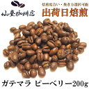 仙臺 珈琲店 ガテマラ ピーベリー 200g(※生豆時240g) ※コーヒー3袋まとめ買いで送料無料！※ グアテマラ 焙煎日出荷 coffee 送料無料 父の日 母の日 贈り物 お中元 お歳暮 自宅 ご家庭