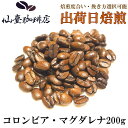 仙臺 珈琲店 コロンビア・マグダレナ 200g コーヒー ギフト 自宅 スペシャリティ 豆 焙煎日出荷 coffee 送料無料 父の日 母の日 贈り物 自宅 ご家庭 お中元 お歳暮