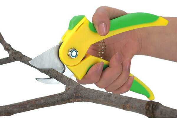 �ڥݥ����10�ܡ�����Ф��� ���ڤ�Ф��� �ڤ�䤹���֥ڥꥫ��Ϥ��ߡ� ���� ���� ���ȥåѡ��դ� �����߷� (SV-5172)