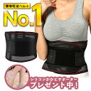 腰痛軽減ベルト 腰椎コルセット サポートベルト 腰椎ケア 固定ベルト 姿勢矯正 乾燥の季節に!かかとサポータープレゼント中! 腰痛緩和 腰痛ベルト 腰痛 腰痛ケア 矯正