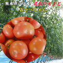 美味しいトマトお試し品!