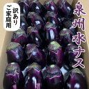 着日指定不可 お取り寄せグルメ 訳あり品 泉州水ナス 期間限定 ぬか漬けや浅漬けに 野菜 御祝 御礼 御中元 お中元 ギフト プレゼント 内祝 まとめ買い 美味...