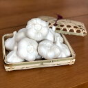 送料無料商品と同梱で送料無料!秀品 大蒜の名産地 青森県産 大粒 ニンニク 2Lサイズ 約1kg ネット入 産直 にんにく 野菜 内祝 御祝 御礼 贈答品 ギフ...