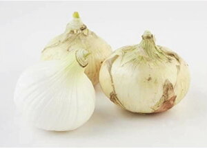 特選 淡路島産プレミアム新玉ねぎ 10kg Lまたは2Lサイズ 大きいサイズ 業務用 国産野菜 タマネギ たまねぎ 新たまねぎ まとめ買い お取り寄せグルメ