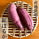 全国送料無料 茨城県産おor千葉県産 さつまいも をはるかに超えたさつま芋 紅はるか5kg Mサイズ 箱入り 訳あり品ではありません 蜜芋 ..